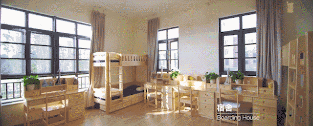 1574046899505137.gif 640 (2).gif