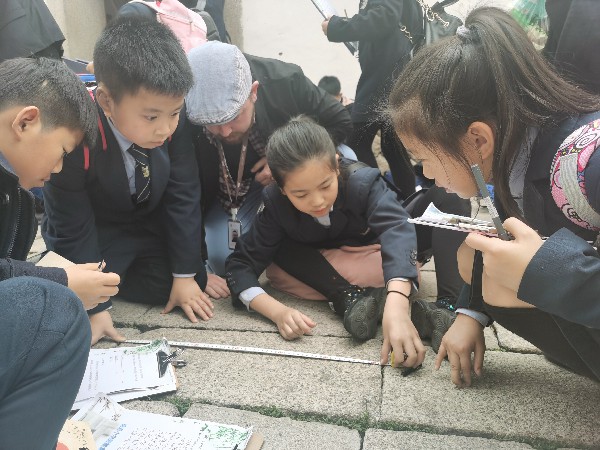 1580663064871863.jpg 微信图片_20200117151234~1.jpg